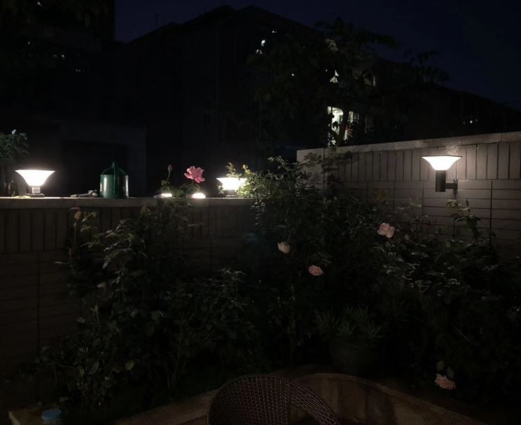 2 solar garden light