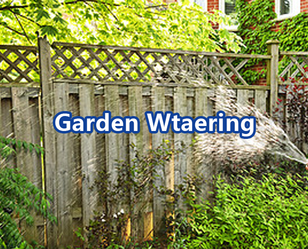 用于花园浇水的水泵