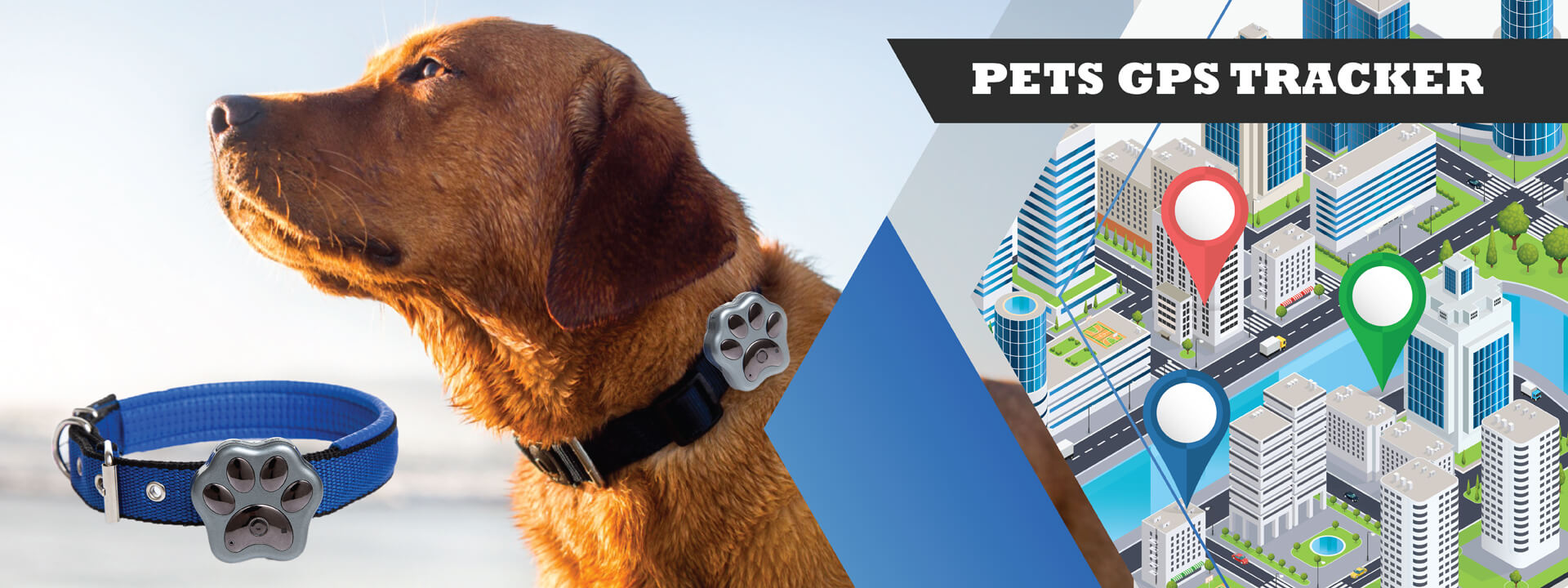 Traceurs GPS pour animaux de compagnie